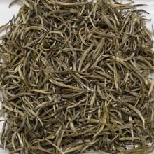 Assam GINGIA SILVER TIPS Top Superior White Tea —