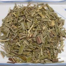 Thailand LEMON GRASS —