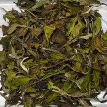 China Fujian Fuding PAI MU TAN Std.6900 —